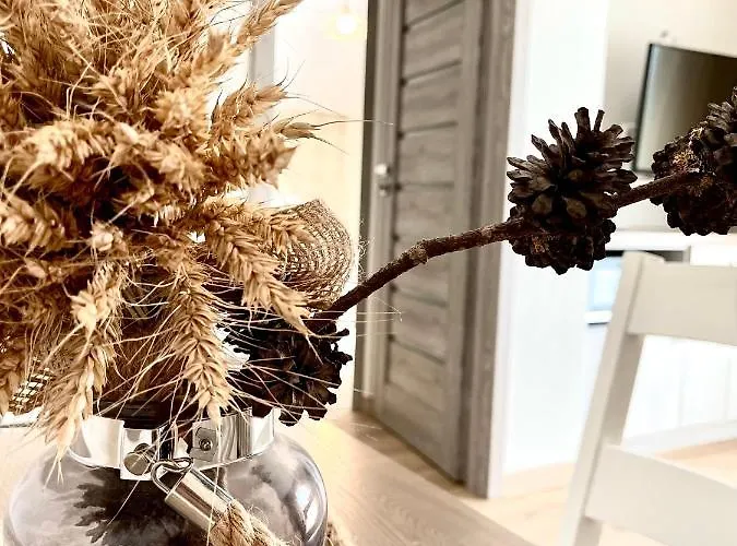 Atostogu Sala בית הארחה 3*