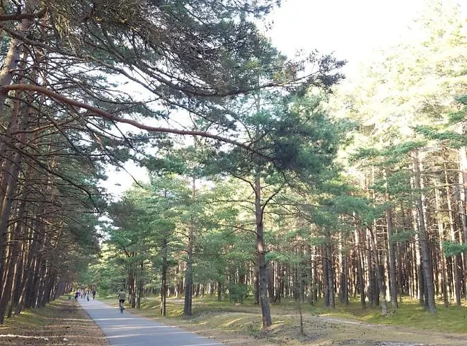 Atostogu Sala בית הארחה 3*